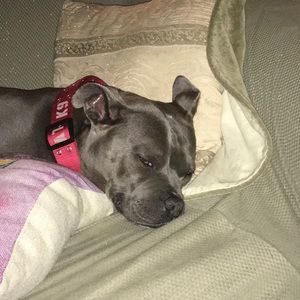 Meet your Posher, Poe